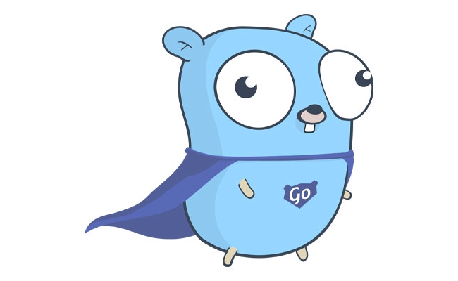 Tool for Vulnerability Checks in Golang - Questers